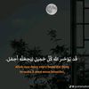 nouraldentaha