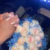 maryam._511