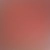 trypsin06
