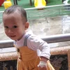 lingngoc58