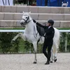 maoandco