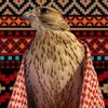fahd69175