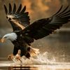 homefront47