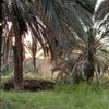 al_talcamp1