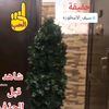 saif_al.ostora