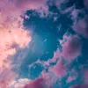 pink.lady93