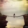 .bah2r