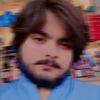 sherdil8756