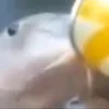 viniciusoliveira7689