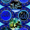 sozidarya3