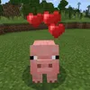 apple_hzyy
