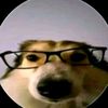 isapidorl0x