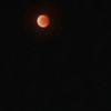 lua_therivals2