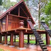 vietthanh917