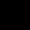 rafaelngrsun