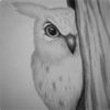 silentwatcher12345