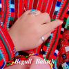 begull_baluch