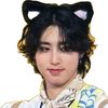 l2.meow_kitty