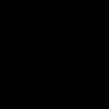 98_fgt