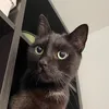 kazseeswhatudidtherelol