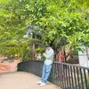 tanvsm