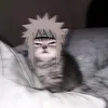 z_e_e_s_h_o