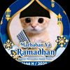 .mainml