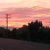 zulfikar_150223