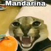 mandarina_20090