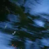 others.have.it_worse