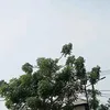 ncdfyugdhnk