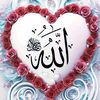 user7659254041811