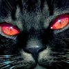 kat_the_gothic_catboy