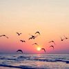 cielo_mery07