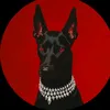 bigredandblack