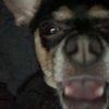 axelonhotss