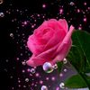 dyrw9yo38tmf