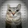 the.real_squanix