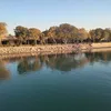 ehsanalselamie