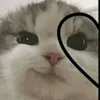 springbonnieentiktok