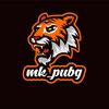 mk_pubgi