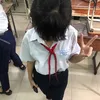 arieo_cte
