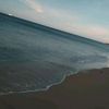 anthoni638226