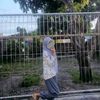 nazifatullaili_