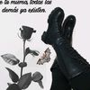 reynacelesteescob