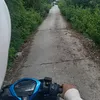 kienlack26_08