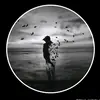zohaib8481