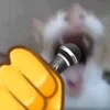 elliottcn_0