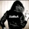 ledy_knopa4ka