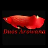 duos_arowana